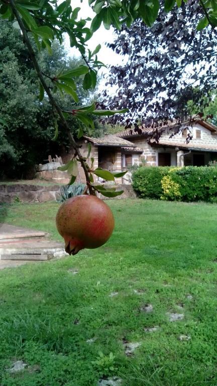 Agriturismo Casale Loreto Corchiano Bagian luar foto